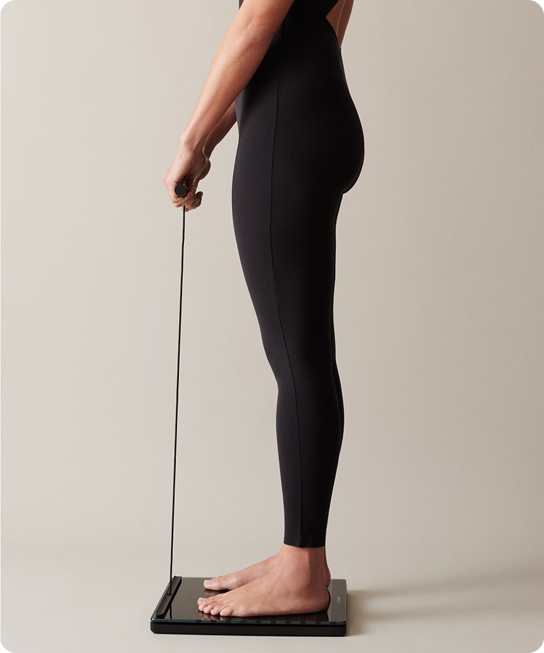 在5个身体区域定位肌肉和脂肪质量