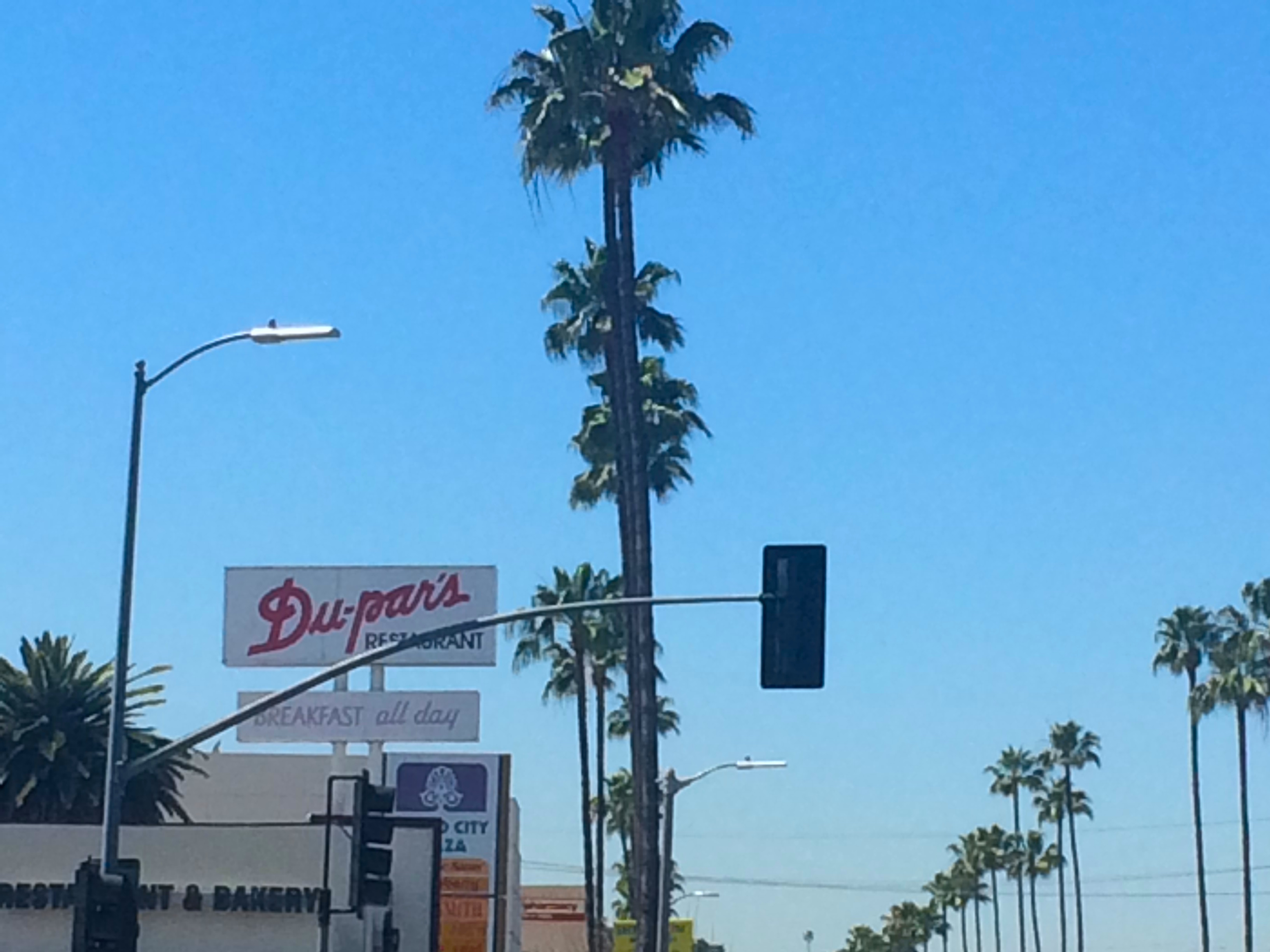 My 10,000 Step Tour In Los Angeles