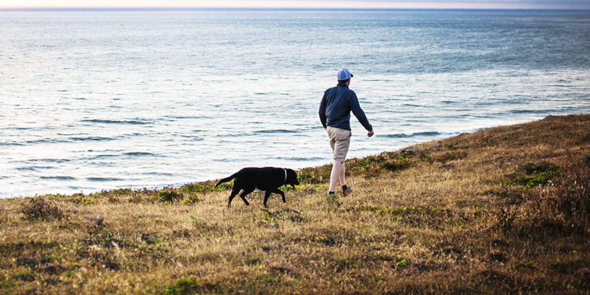 7 Gründe, weshalb Hunde unserer Gesundheit guttun