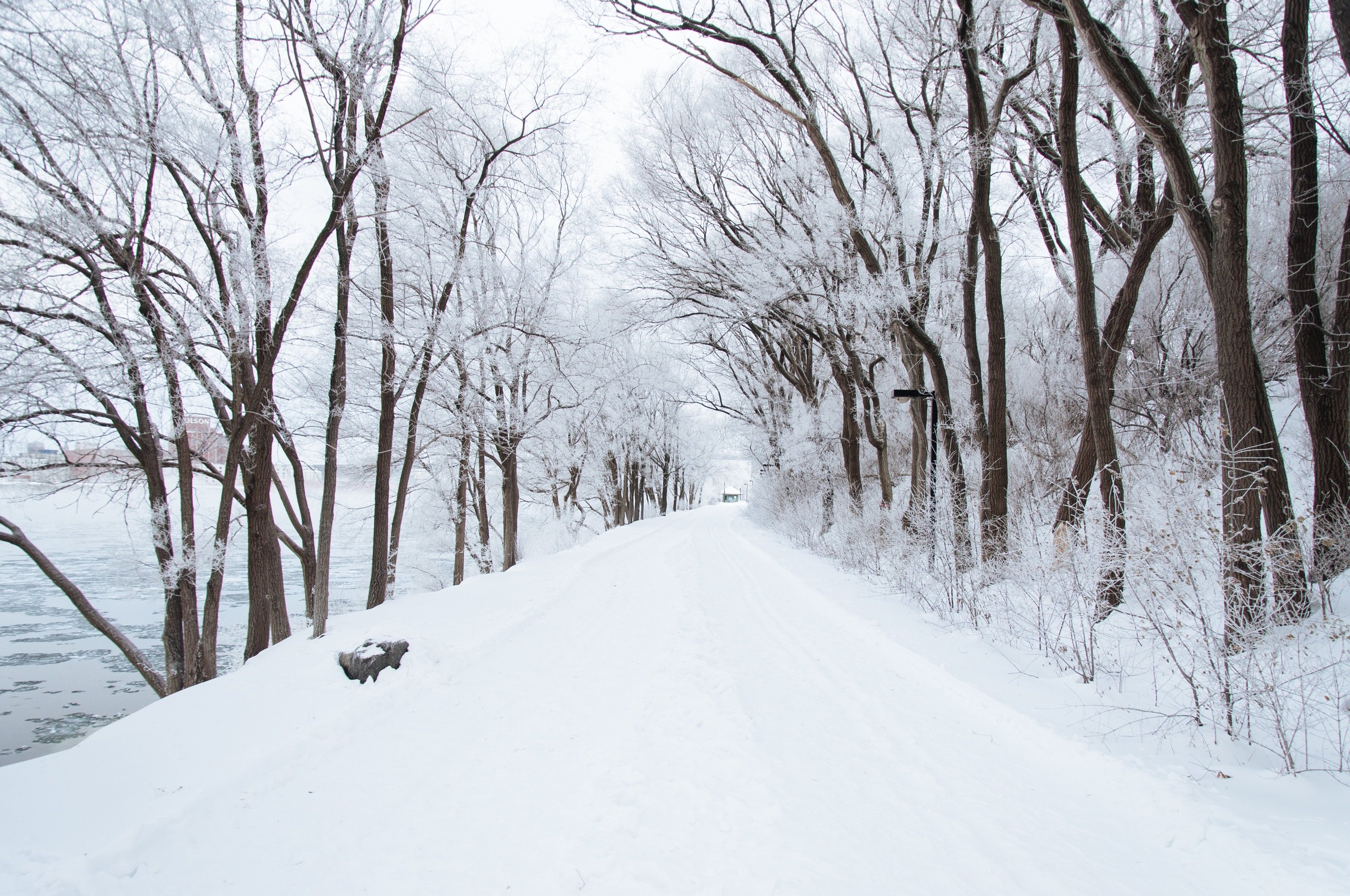 Christmas Survival Guide : 9 Tips