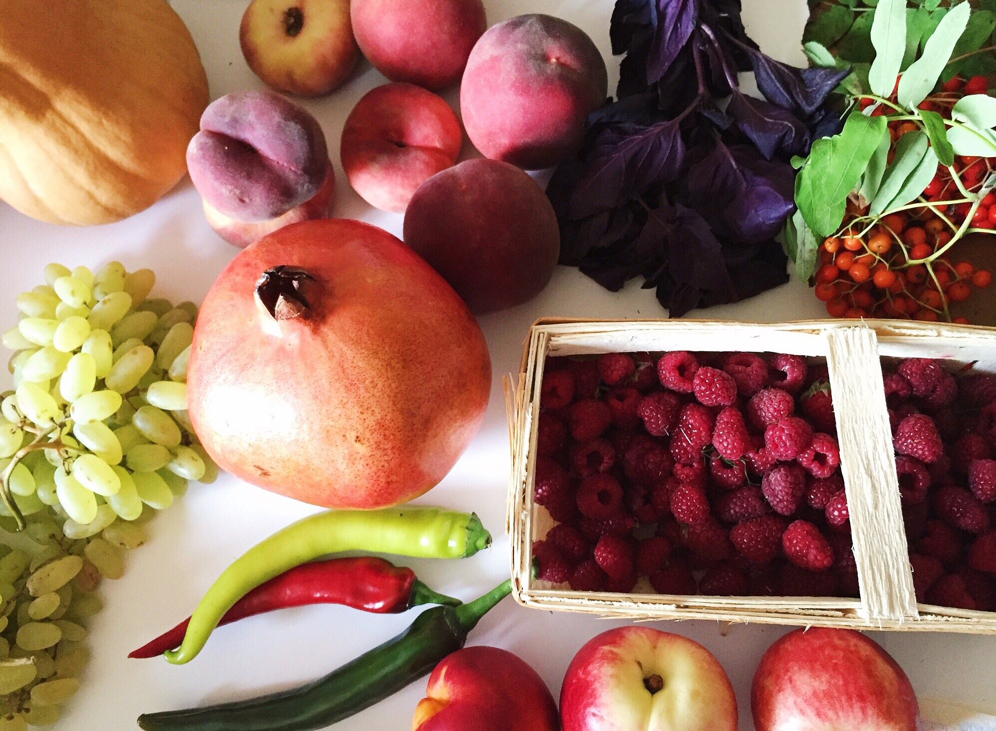 Essen nach den Jahreszeiten: Besser essen für Gesundheit und Gaumen!