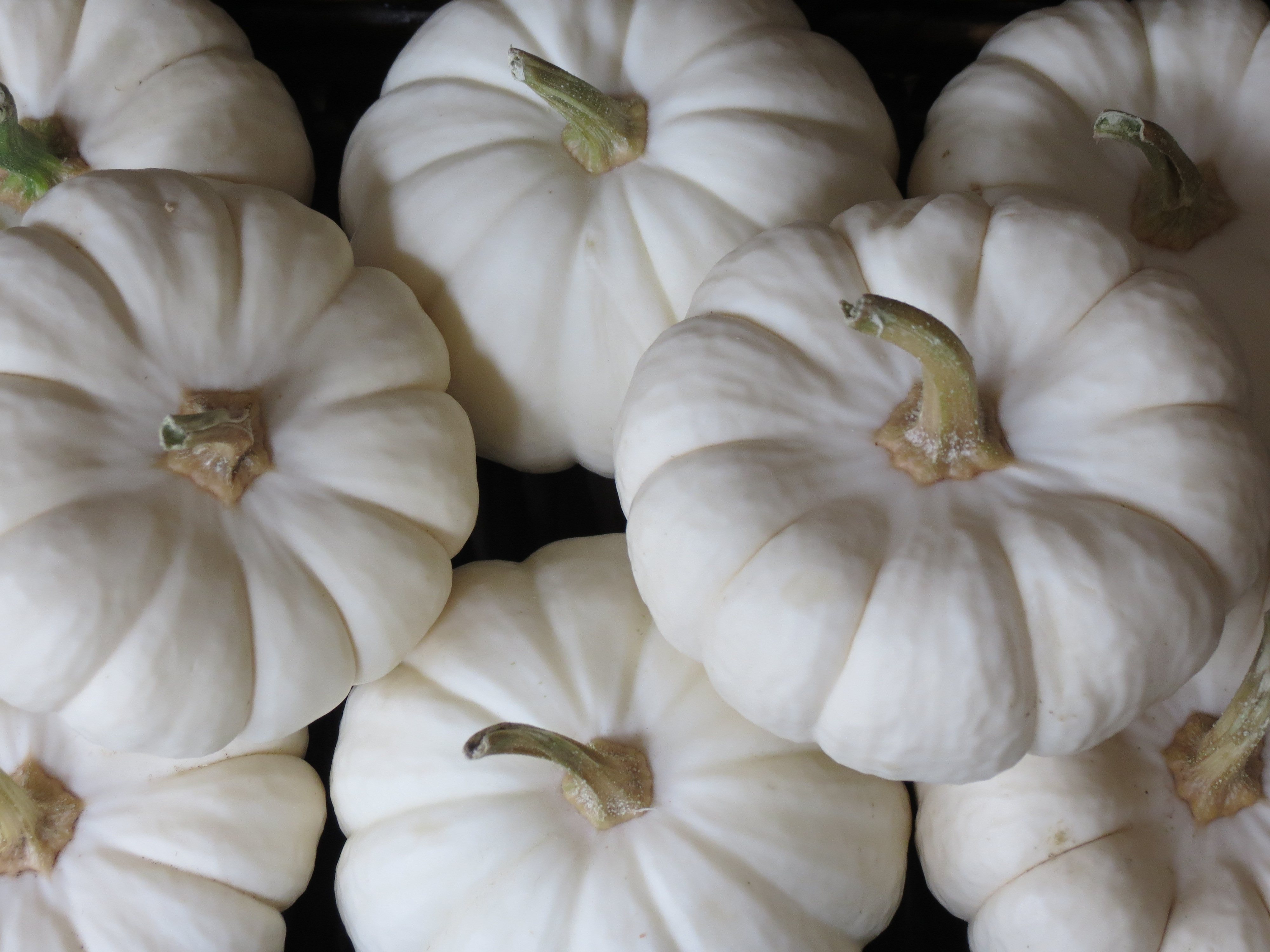 The Insider’s Guide To Fabulous Fall Veggies