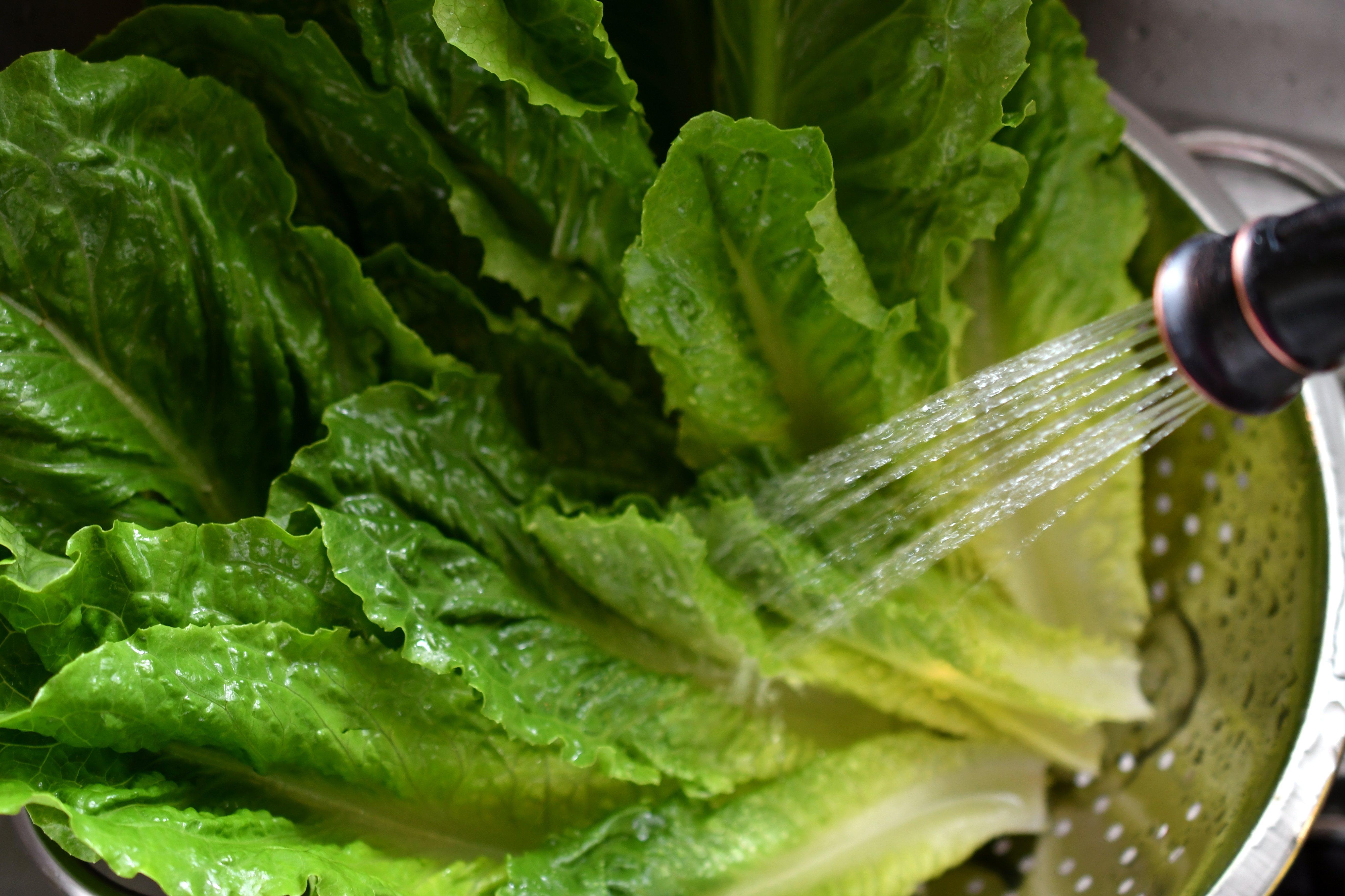 Food Poisoning 101: Signs, Symptoms and What You Need to Know