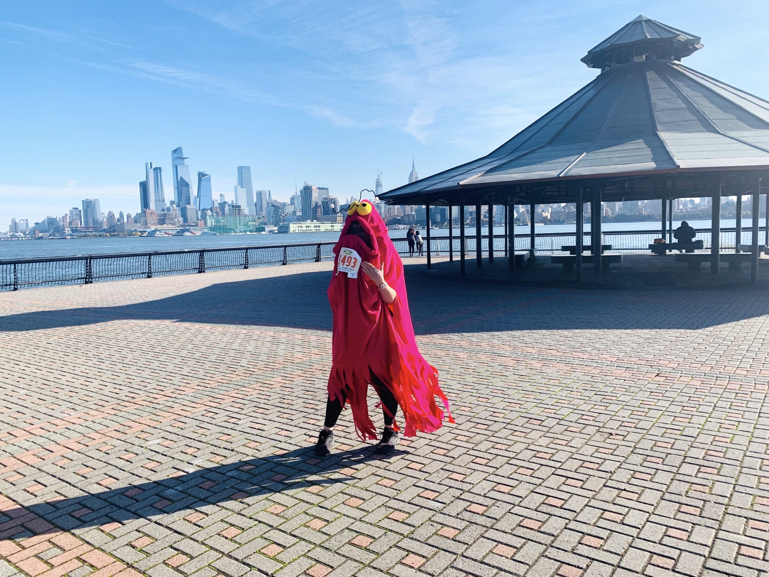 Haben Sie Angst, Ihr Gesundheitsziel nicht zu erreichen? Ich auch.