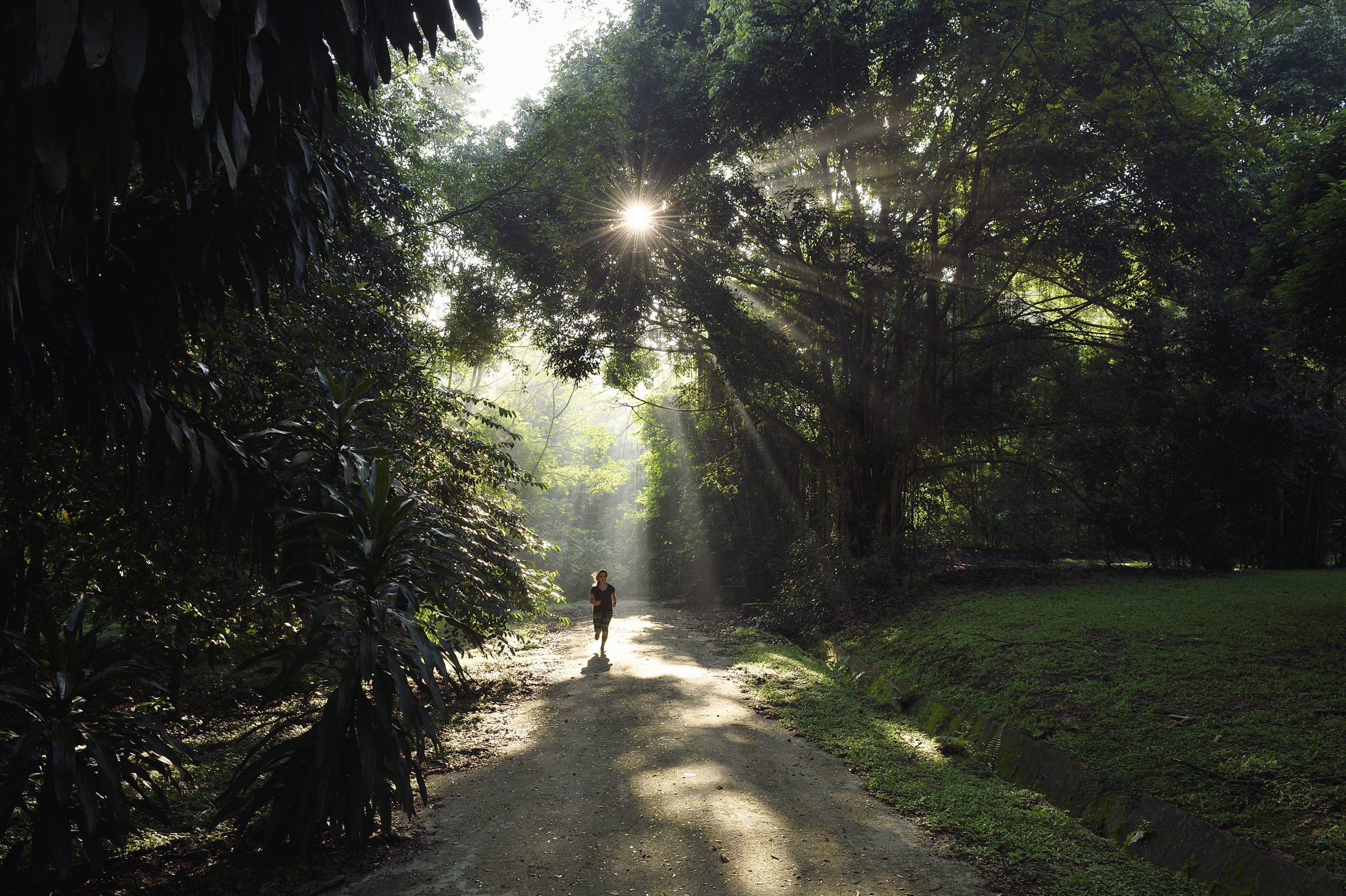 Laurence Pitault: Inspiriert durch die Online-Community, ein gesundes Gewicht zu halten