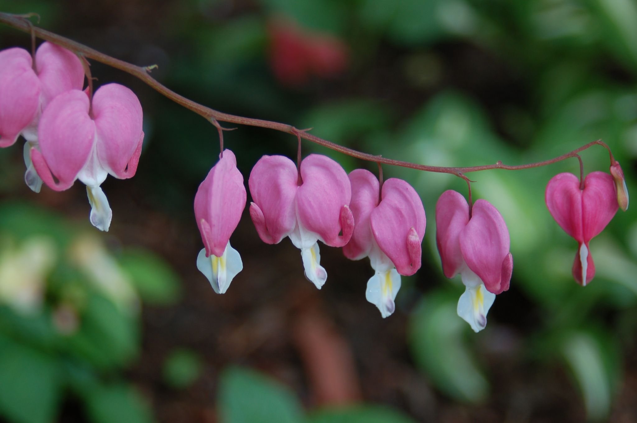 ‚Normalo‘ nimmt seine Gesundheit ernst und 67 Kilo ab