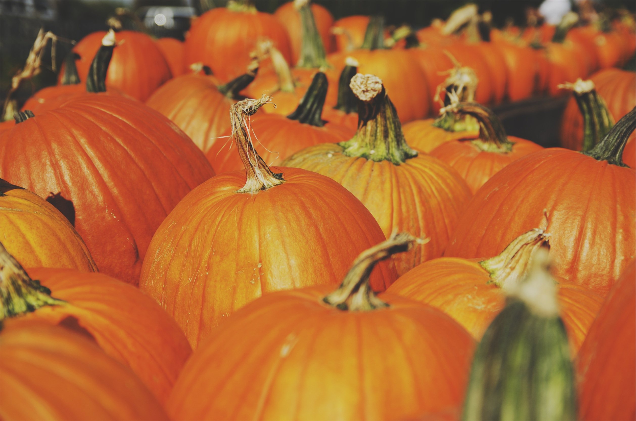 Pumpkin Mania: 4 Healthy Ways To Enjoy This Super Squash