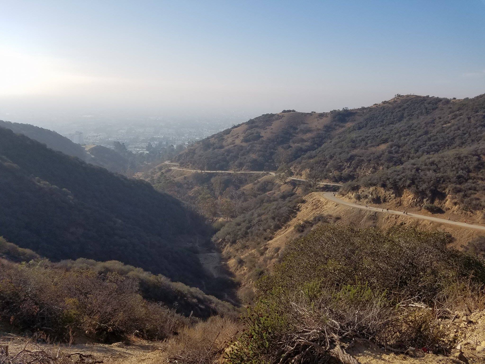 A Race to the Finish: Marathon Training Weeks 19-20