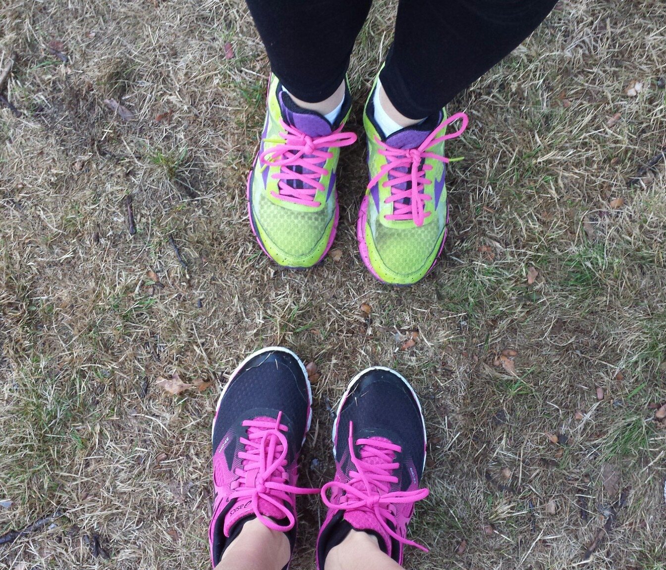 A Race to the Finish: Marathon Training Weeks 5 & 6