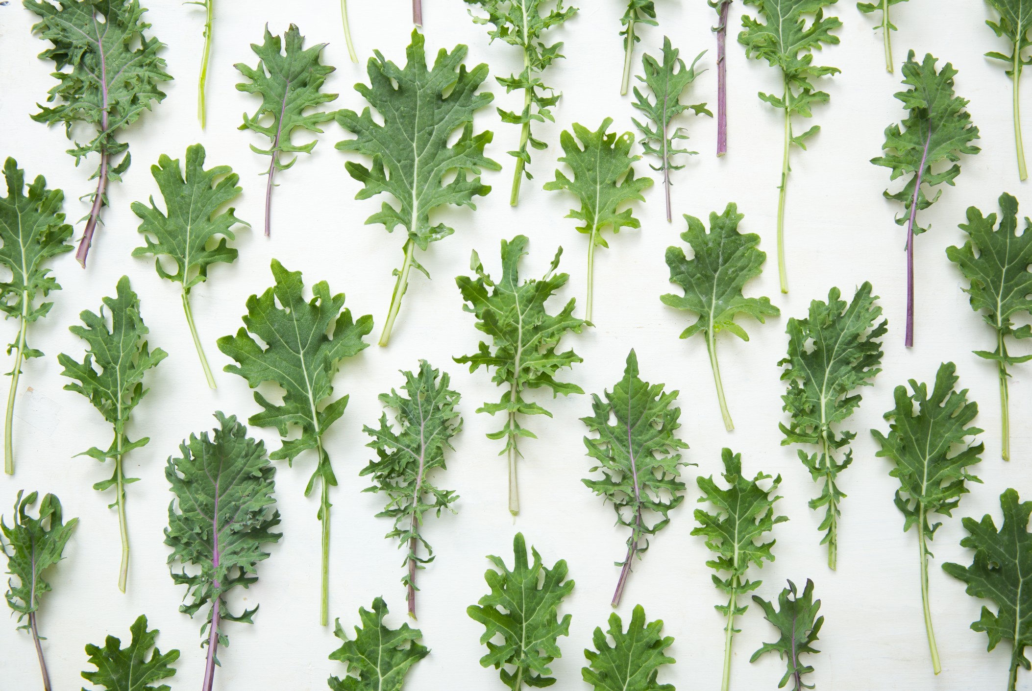 Ray Cronise on the Science Behind Why Plant-Based Diets Rule