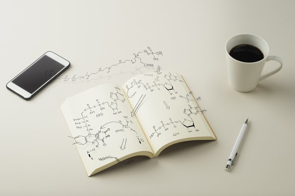 Set-Point-Theorie: Keine Chance auf Abnehmen?