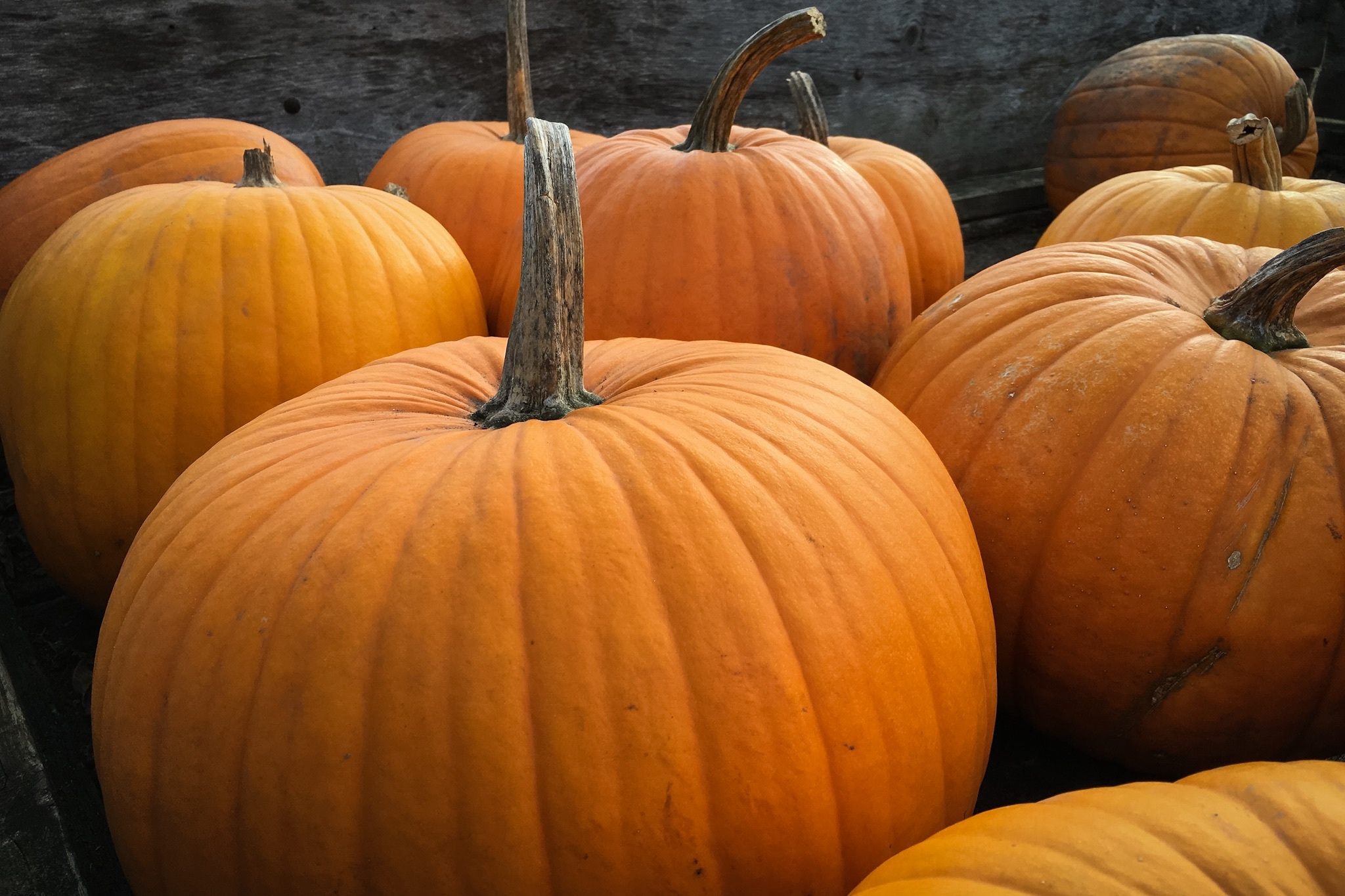 Thanksgiving: How Much Do Our Habits Change?