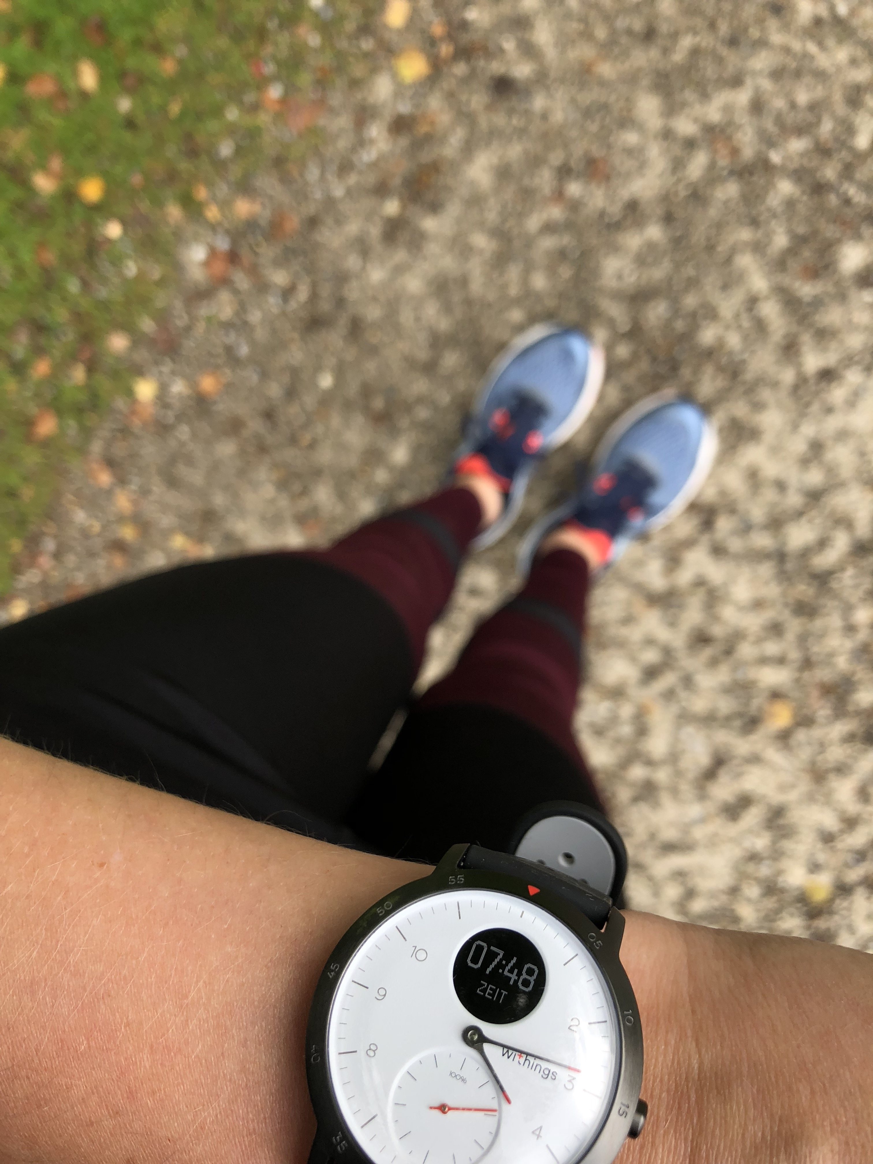 Von 5k zu 10k: Steel HR Sport, Läuferknie und Zooparklauf