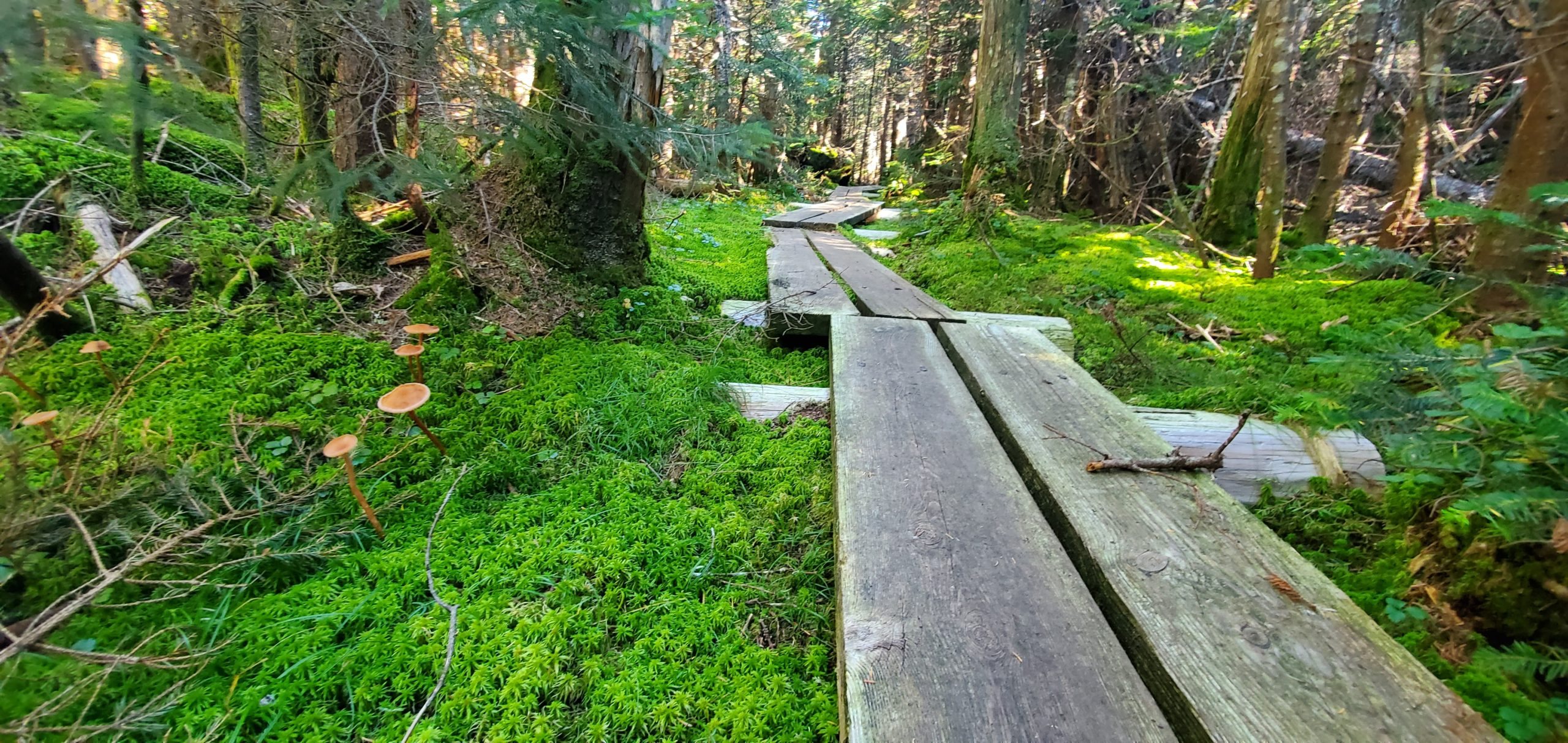 Wandern: Ein Workout für Leib und Seele