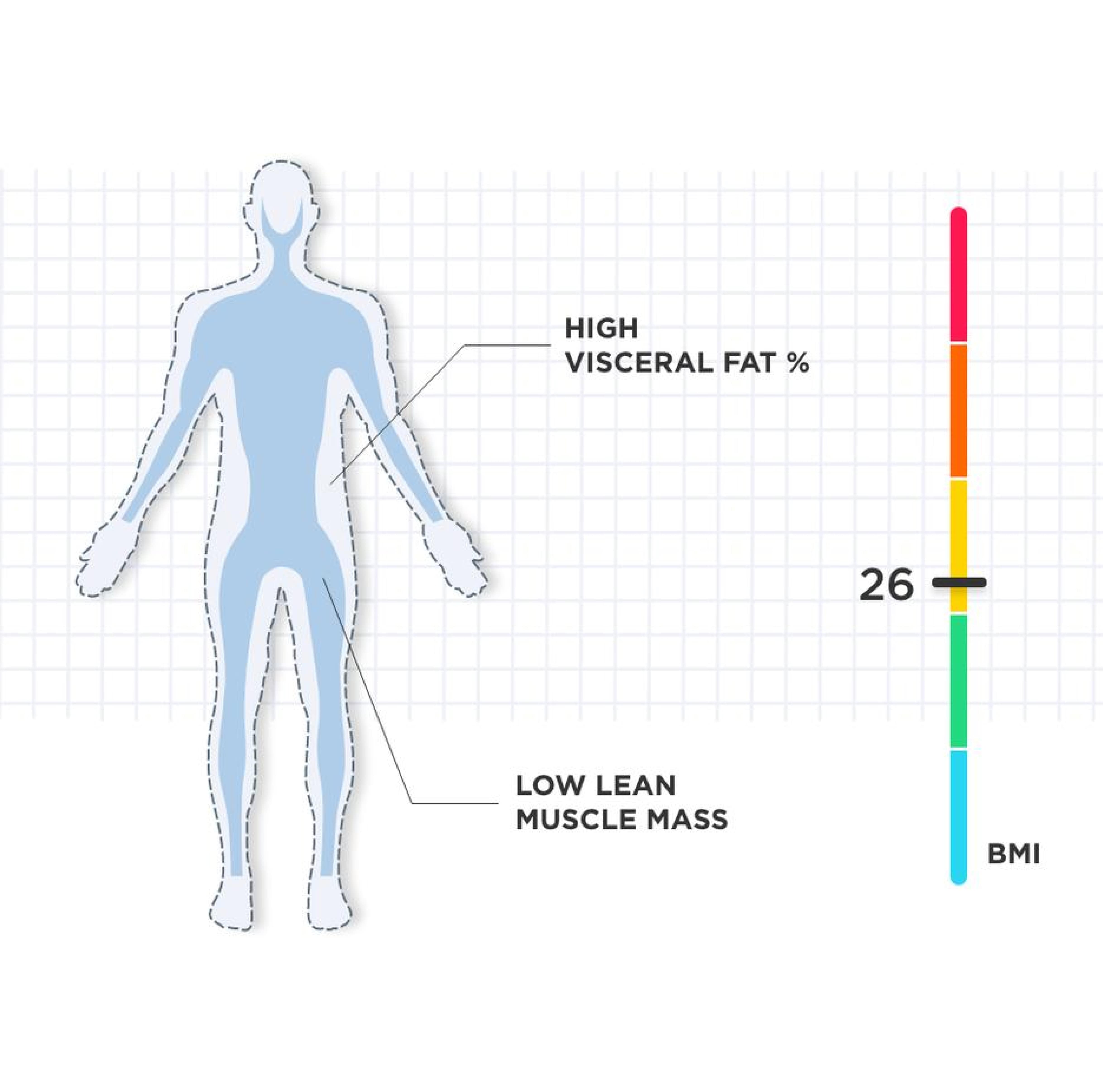 Higher body fat percentage Image