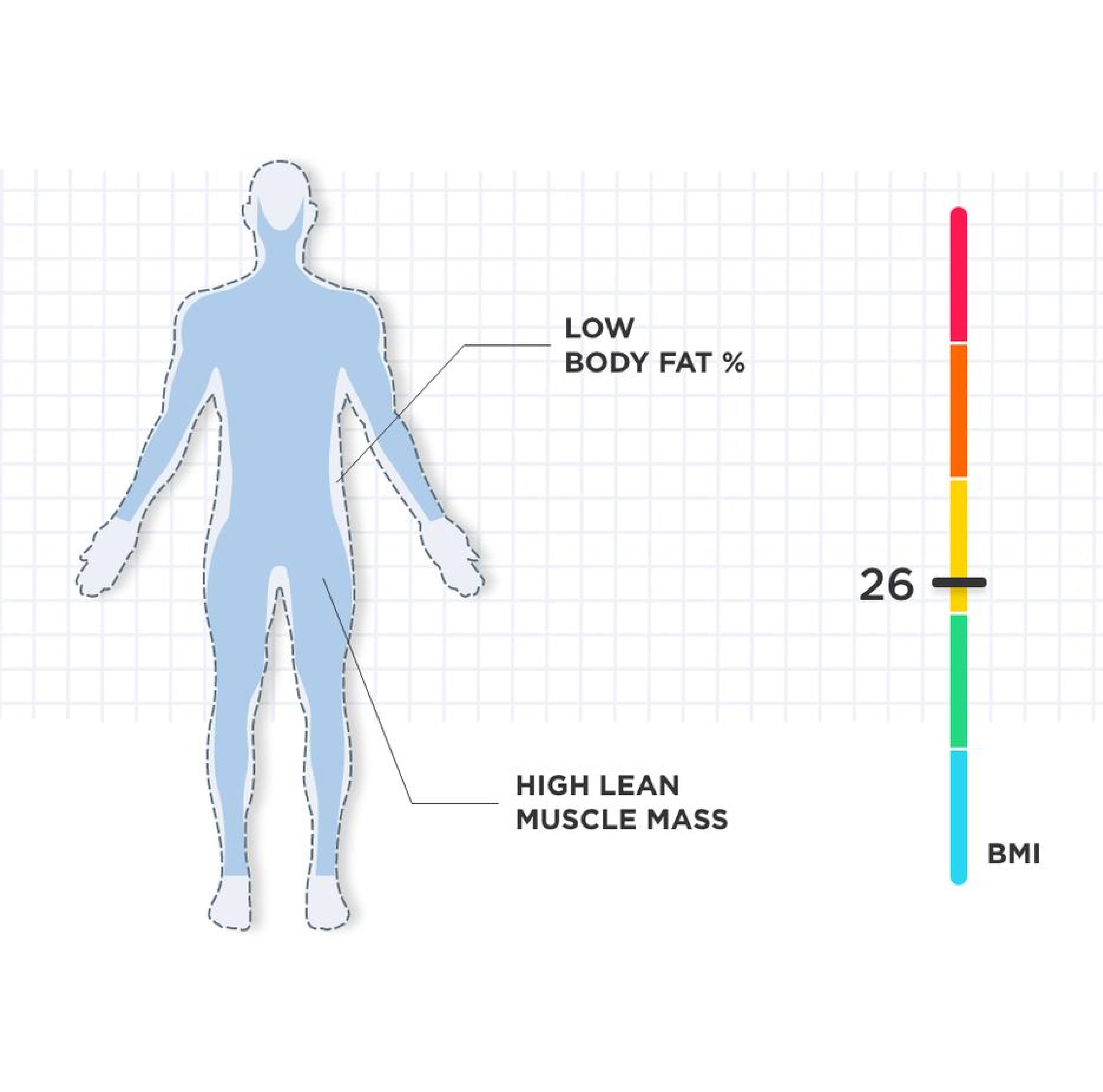 Higher muscle-to-fat ratio Image