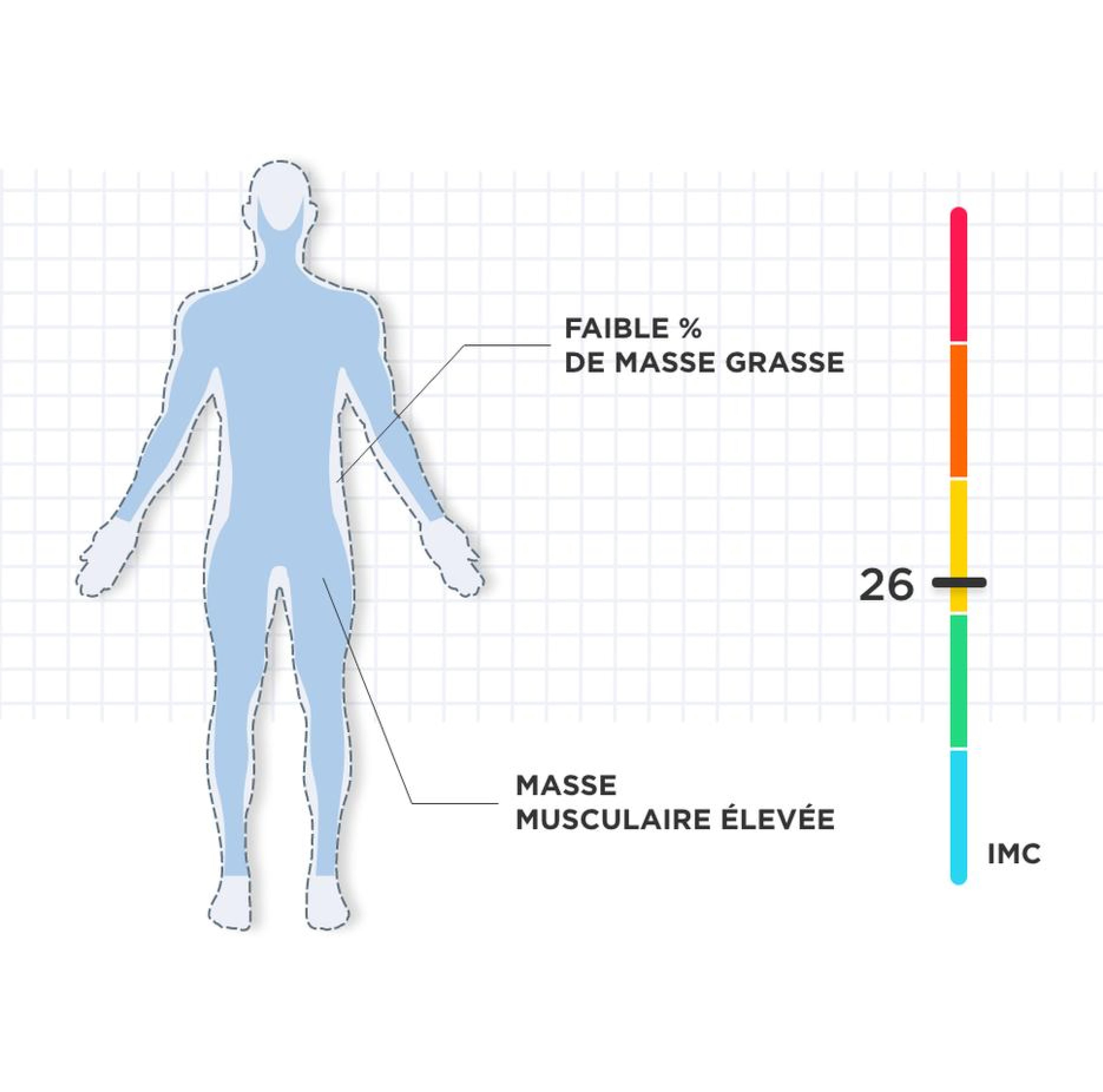 Un rapport muscles-graisses plus élevé Image