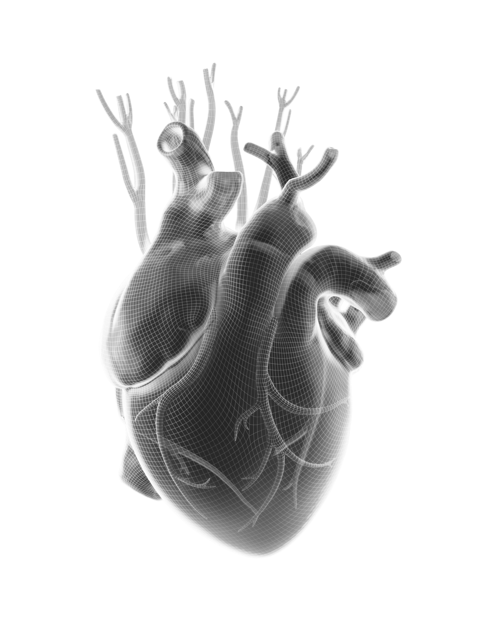 Realiza un electrocardiograma de grado médico Image